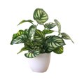thumbnail image 1 of fastboy Artificial Potted Plant Leaf Simulation Leaves Home Office Desktop Greenery Decoration, Plant Type 7, 1 of 5