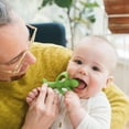 thumbnail image 4 of Dr. Brown's Teether + Training Toothbrush – Peapod, 3 months+, 4 of 5