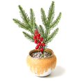 thumbnail image 1 of Coofit Artificial Plant Pick DIY: Faux Greenery Branch Desktop Decoration for Christmas, 1 of 3