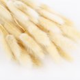 thumbnail image 1 of CAROOTU 50 Pcs Dried Flower Grass Decoration Photography Props for Home Store Wedding, 1 of 5