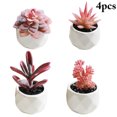 thumbnail image 1 of Coofit 4PCS Potted Plant Decorative Fake Plant Artificial Plant for Balcony Home Garden, 1 of 9