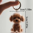 thumbnail image 2 of Dog Hair Collector Keychain Charm Memorial Storage Box Pet Hair Memorial Keepsake Transparent Cute Keychain, 2 of 6