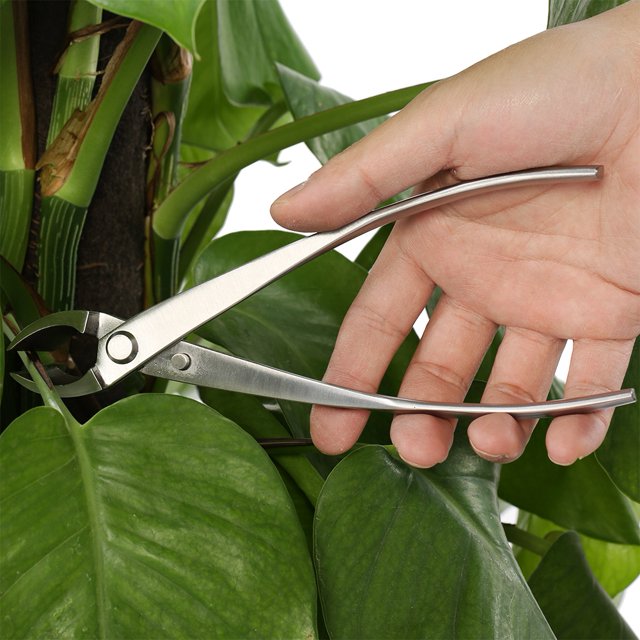 Coupe-branches - Professionnel Coupe-Bordures Ronds Outils Bonsaï Coupe-Branches de Jardin en Acier Inoxydable