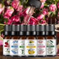 thumbnail image 1 of 10ml Essential Oil Permeable Calm Emotion Non-Irritating Water Soluble Rose Diffuser Oil for Indoor, 1 of 10