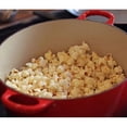 thumbnail image 2 of Lodge Enameled Cast Iron 5.5 Quart Dutch Oven, in Red, 2 of 6