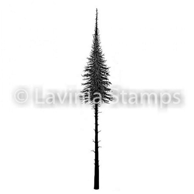 Lavinia Stamps - Arbre de Sapin Féerique (Petit)