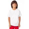 thumbnail image 1 of Hanes T-Shirt à Manches Courtes Col Ras du Cou ComfortWash pour Garçons, TP, Blanc, 1 of 1