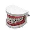 thumbnail image 2 of With Mouth Guards for Teeth Grinding  Night Protector for Bruxism Clenching Snoring Sleep Aid Mouth Tray with Box, 2 of 5