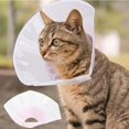thumbnail image 3 of Fosa Elizabeth Circle, PVC Cat Elizabeth Circle, Pet Cat For Head Cover Puppy, 3 of 8