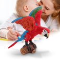 thumbnail image 3 of MesaSe Oiseau Statique Aras Perroquet Modèles Figurines pour la Collection Educative&Decoration, 3 of 3