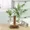 ParallelDoubleBottle, variant on Terrarium Hydroponic Plant Vases Vintage Flower Pot Transparent Vase Wooden Frame Glass Tabletop Plants Home Bonsai Decor,SingleBottle