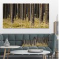 thumbnail image 1 of Dark Fall Forest with Green Grass - Modern Forest Canvas Art, 1 of 1