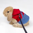 thumbnail image 2 of Milaget Pet Rabbit harness, Small Animal Denim Jacket Coat Harness Belt Vest Hat Set, Suitable for Kittens, Guinea Pig M, 2 of 7