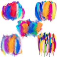 thumbnail image 1 of Colorful Feathers,300pcs Feather For Crafts Striking Feathers, 1 of 5