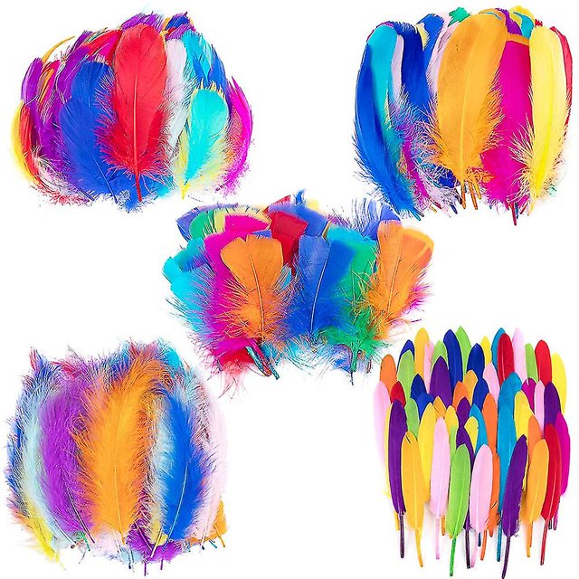 Colorful Feathers, 300pcs Feather For Crafts Striking Feathers. A set of 300 natural feathers in 9 bright colors, including light pink, pink, red, orange, yellow, green, dark blue, sky blue, and purple. Each feather is 8-15cm (3-6 inches) long, sterilized for safety, and non-toxic, making them suitable for children and pets. Perfect for DIY projects like dream catchers, masks, and hair bands, as well as for events such as weddings, baby showers, and Christmas celebrations.