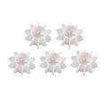 thumbnail image 2 of 5Pcs Silicone Laundry Ball Clothes Stain Removal and Knot Prevention Cleaning, 2 of 9