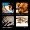thumbnail image 4 of Labymos 2Pcs Dog Knee Pads Provide Support Relieve Pain During Injury Stop Licking Leg Wounds, 4 of 8