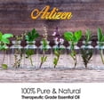 thumbnail image 2 of Artizen 30ml Oils - Wintergreen Essential Oil - 1 Fluid Ounce, 2 of 5