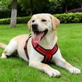 thumbnail image 2 of TIELUTT Chest Harness Ocean Colour Adjustable Harness in Size M (Chest Circumference, 2 of 4