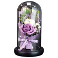 thumbnail image 1 of MesaSe Rose Gift Box with Glass Cover LED Light Gift for Valentine‘s Day Anniversary, 1 of 9