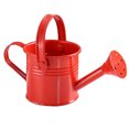 thumbnail image 1 of Garden Small Water Spraying Pot Flower Kettle Metal Watering Can Sprinkled, 1 of 1