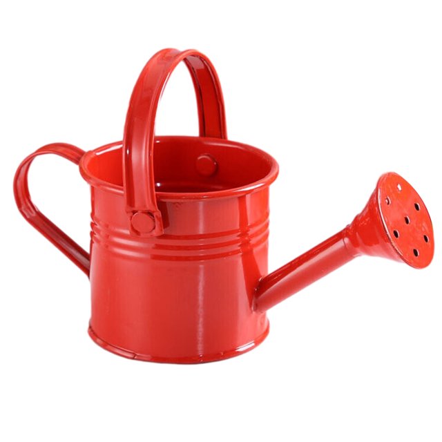 Garden Small Water Spraying Pot Flower Kettle Metal Watering Can Sprinkled