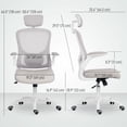 thumbnail image 3 of HOMCOM Chaise de Bureau Ergonomique avec Soutien Lombaire 4D, Appuie-Tête, Gris, 3 of 10
