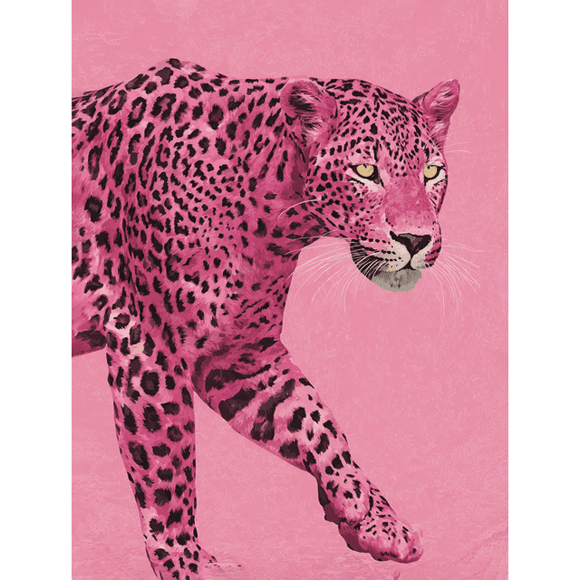 Pink Leopard Modern Canvas Wall Art 15.75x11.81 Inches