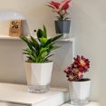 thumbnail image 1 of Self Watering Flower Automatic Flowerpot Garden Planter Automatic Lazy Rope Indoor Convenient Stable For House Planting Tool Supply Ivory White/S, 1 of 9