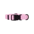 thumbnail image 1 of One Paw, Collier à sangle pour chiens, plusieurs couleurs et tailles disponibles, 1 of 5