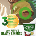 thumbnail image 3 of Activia Probiotic Yogurt, Cherry, 3 of 8
