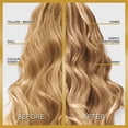 thumbnail image 3 of L'Oréal Paris Le Color Gloss, One Step Hair Gloss, 3 of 8
