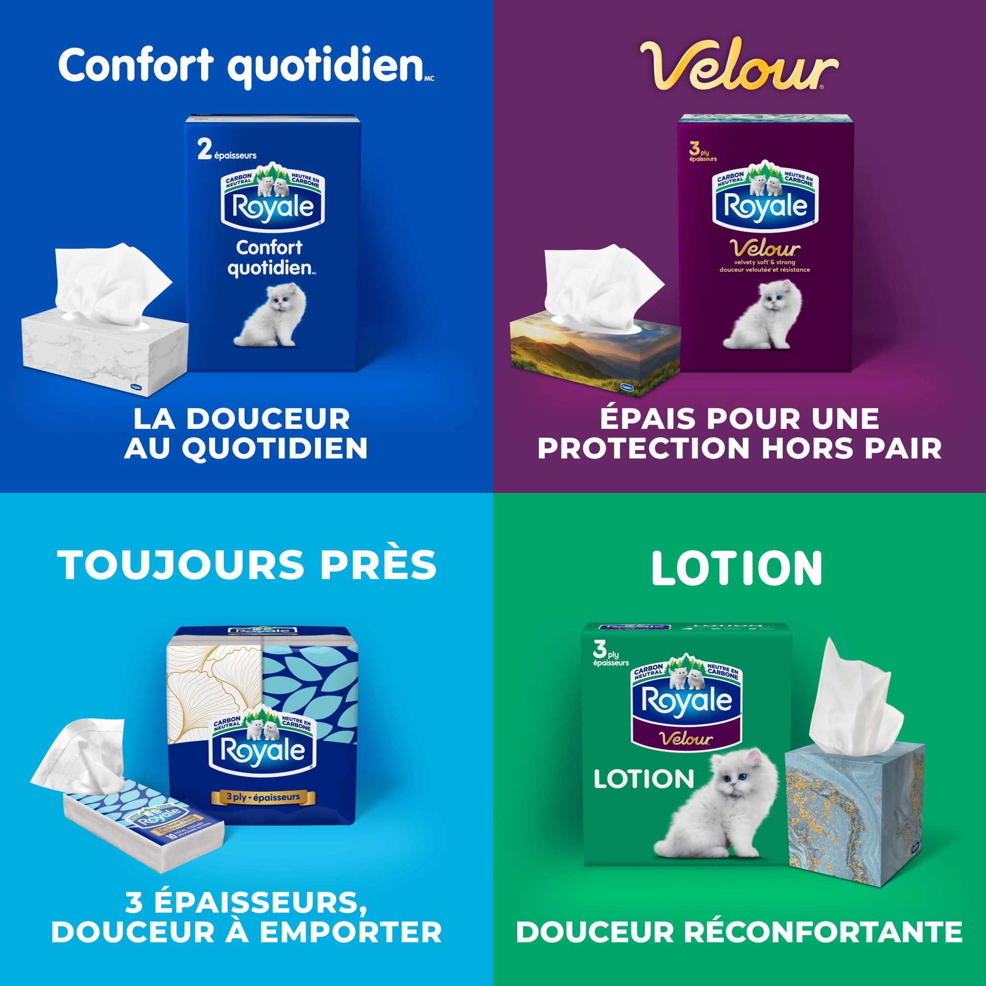 Royale Everyday Comfort, 2 Ply Facial Tissue, 18 Flat Boxes, 126 Tissues per Box