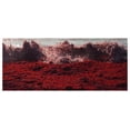 thumbnail image 3 of MISSHA Time Revolution Red Algae Revitalizing Serum 40ml, 3 of 8