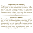 thumbnail image 5 of H&H Healthy & Happy Mangue au Miel Thaïlandaise Mangue Séchée, 5 of 5