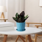 Blue Scandinavian Resin Plant Pot With Tray In Blue Size M Flower Pot With Drainage Holes Minimalist Plant Pot Modern Flower Pot Flower Pot Set Indoor Plant Pot Blue Medium Free Size