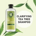 thumbnail image 3 of Herbal Essences Classics Clarifying Tea Tree Shampoo, 3 of 7