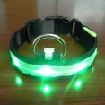 thumbnail image 4 of Collier Incandescent Réglable pour Animaux de Compagnie Randonnée Nuit Randonnée Nuit Marche Étrangleur Rechargeable Éclairé par Animal Colliers Lavables pour Animaux de Compagnie Fournitures Cadeau Vert S, 4 of 8