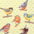 thumbnail image 1 of Set of 6 Set Of 20 Luncheon Birds On Dots Napkins, 1 of 1