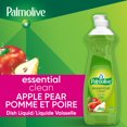 thumbnail image 2 of Palmolive Essential Clean Liquid Dish Soap, Apple Pear Scent - 473 mL, 2 of 9