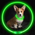 thumbnail image 2 of USB Rechargeable LED Dog Collar Glowing pet Dog Collar for Night Safety  Water Resistant Cuttable TPU Light Up Collars Fashion Light up Collar for Small Medium Large Dogs, 2 of 12