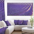 thumbnail image 1 of Champs en Floraison de Lavande comme Texture - Impression d'Art Mural Paysage Surdimensionné, 1 of 3