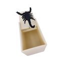 thumbnail image 2 of 2Pcs Baby Tricky Toys Prank Joking Toy Horrible Box Tricky Props Fake Animal Light Yellow (Scorpion), 2 of 9