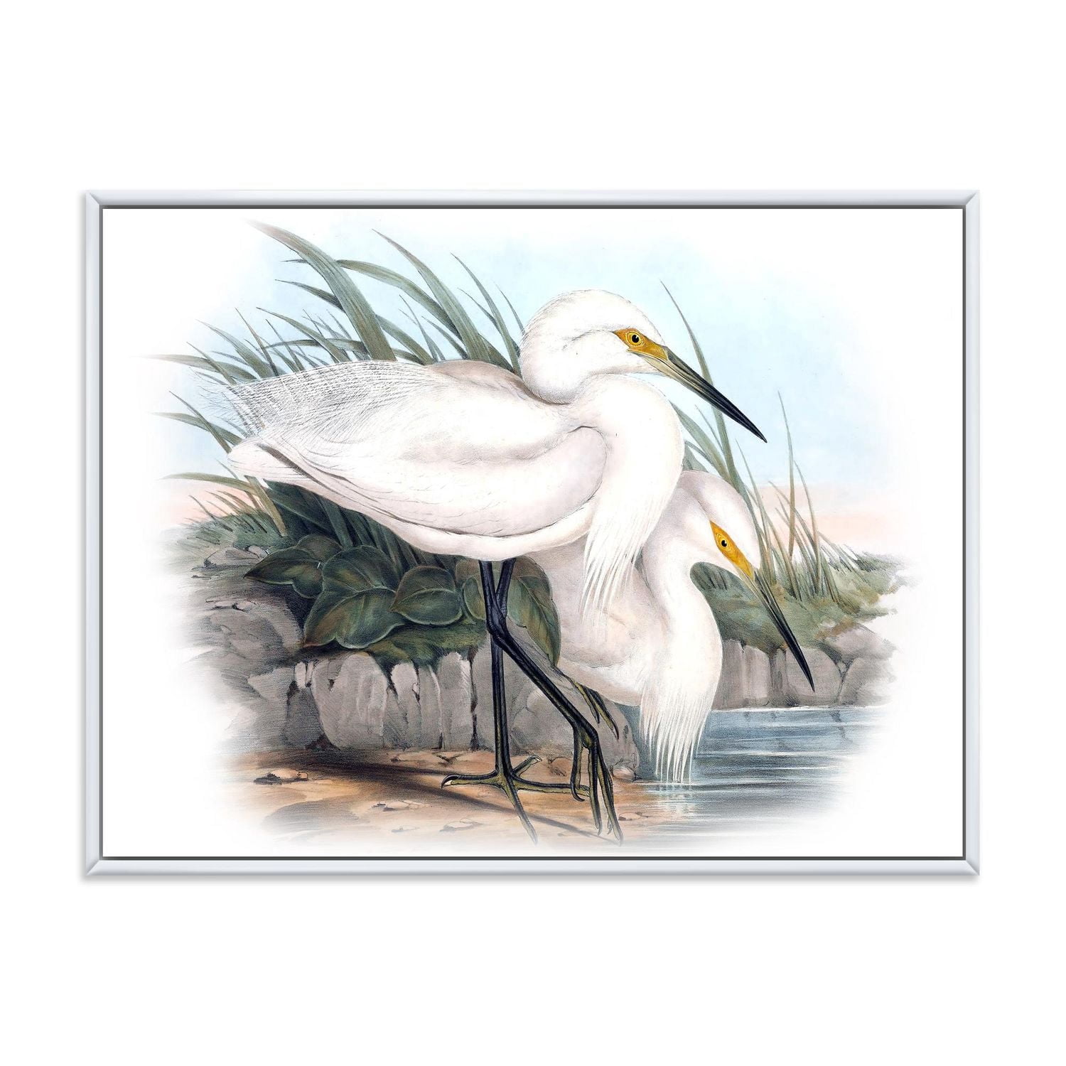 Designart Vie d'oiseau vintage I ART MURAL À CADRE FLOTTÉ