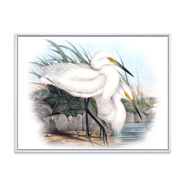 Designart Vie d'Oiseau Vintage I FLOAT Cadre Mural ART Représentant Deux Aigrettes Blanches aux Yeux Jaunes et de Longs Becs Noirs Debout Près de l'Eau avec des Roseaux Verts et des Plantes en Arrière-Plan, Imprimé sur Toile de Coton de Qualité Supérieure et Enveloppé dans un Cadre Flottant Blanc, Prêt à Accrocher à la Déco de la Maison.