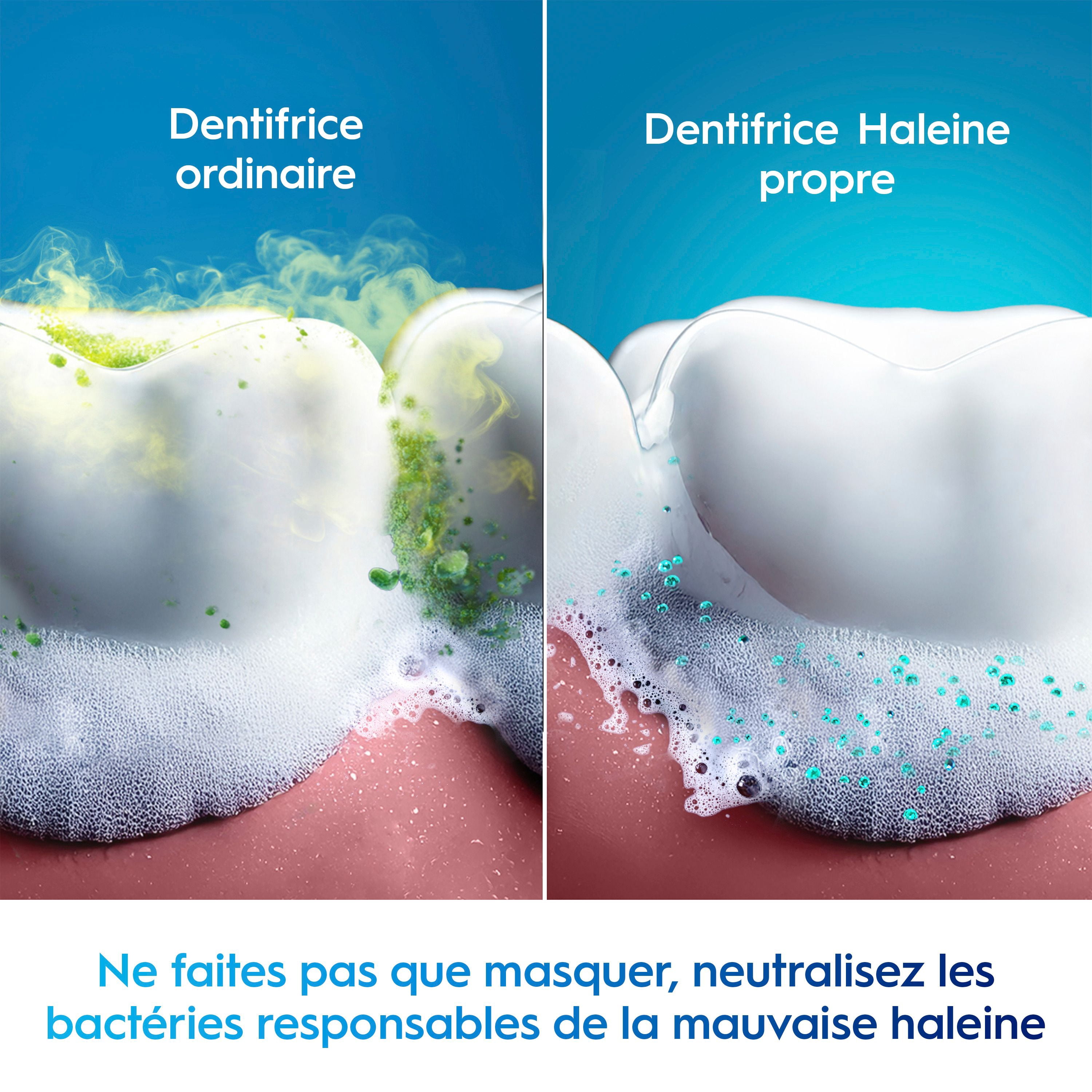 Dentifrice Crest Haleine propre Menthe verte 100 mL : neutralise la mauvaise haleine, protège contre les bactéries, combat la carie, rafraîchit l’haleine, blanchit en douceur