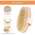thumbnail image 4 of Dry Brushing Body Brush, Natural Bristle Dry Skin Exfoliating Brush, 4 of 5