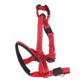 thumbnail image 2 of Dog Head Harness, Dog Head Collar Adjustable Strap Breathable Practical  For Camping Orange,Blue,Red, 2 of 8