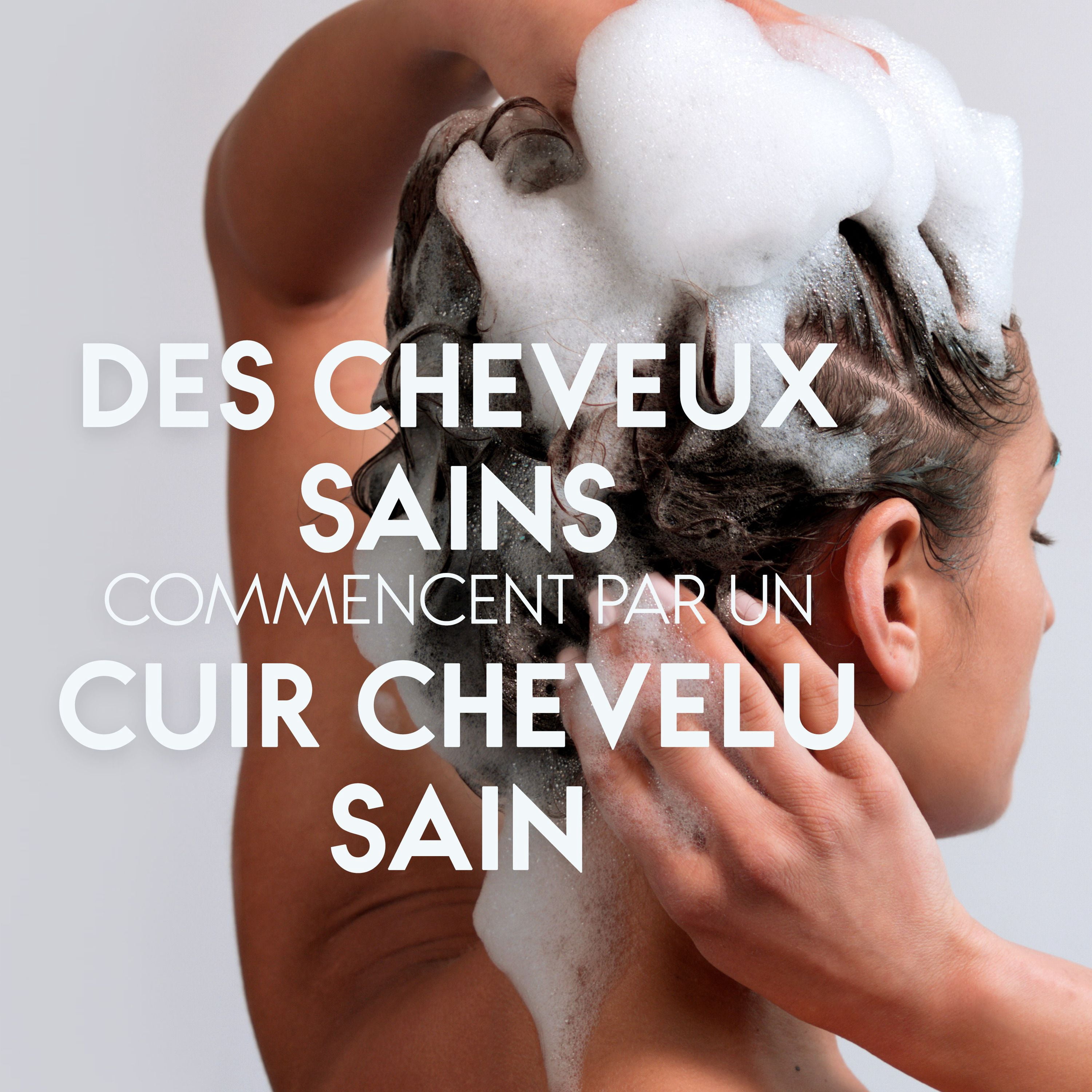 Head & Shoulders Shampooing Hydratation en Profondeur