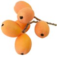 thumbnail image 1 of Coofit Faux Fruit Simulated Loquat Decorative Foam Artificial Fruit Fake Fruit Prop, 1 of 9